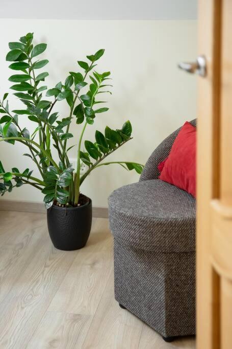 Old Town Apartment *